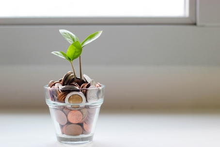 A seedling grows from a glass filled with coins.