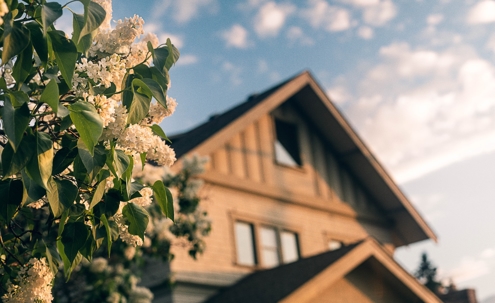 A quaint, out-of-focus house is the background for a thriving lilac bush.